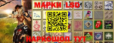 шишки Будённовск