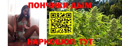 шишки Будённовск