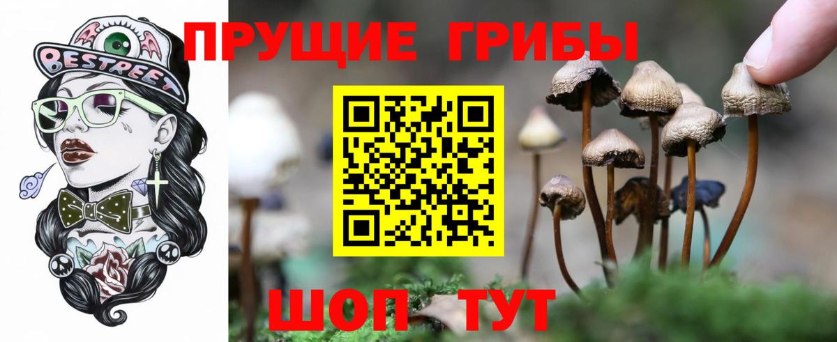 Заринск  Псилоцибиновые грибы Magic Shrooms  Вход с VPN 