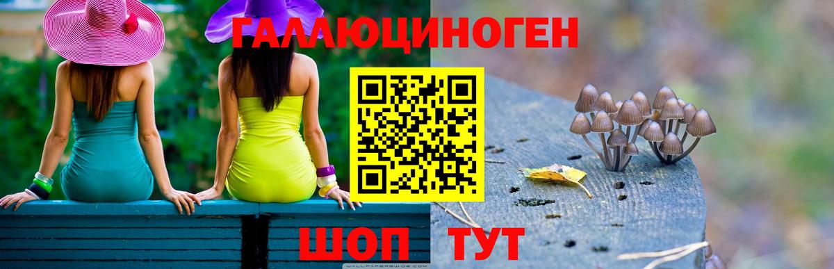 Галлюциногенные грибы прущие грибы Заринск
